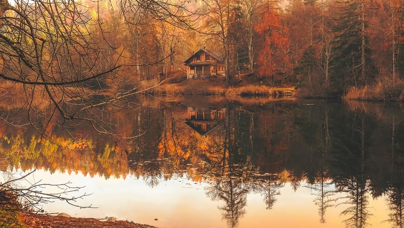 Rustic Lodge in the Woods